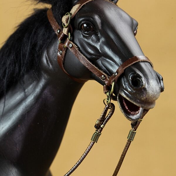1/6 black horse, 1/6 棕馬