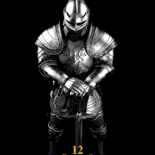 COO-SE003 - 1/6 Empire Series - 12 Paladins of Charlemagne