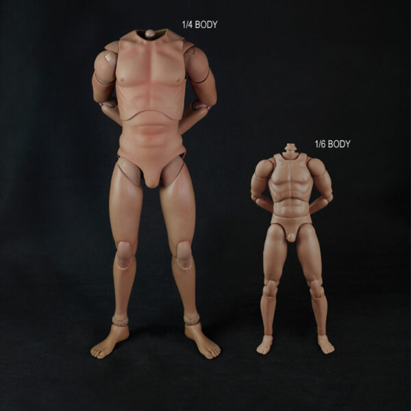 CM-HD001 - COO Model 18 Inch Tall Body HD in 1/4 Scale