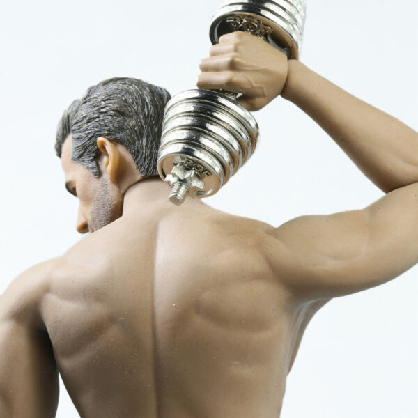 POPEY01 - Gym Equipment dumbbell set - alloy material