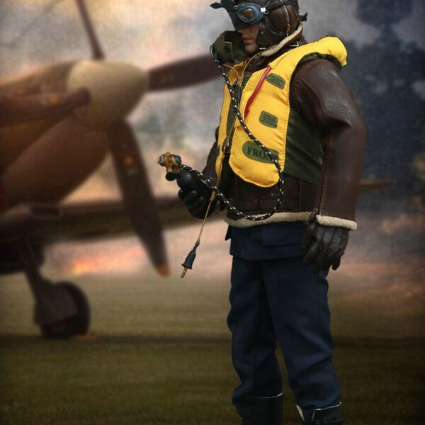 AL100019 WWII Royal Air Force Fighter Pilot