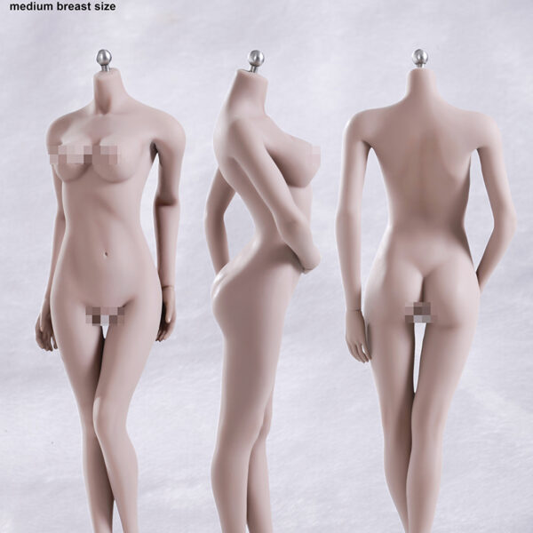 PALE S01A Female Seamless Medium Breast Body with Stainless Ste