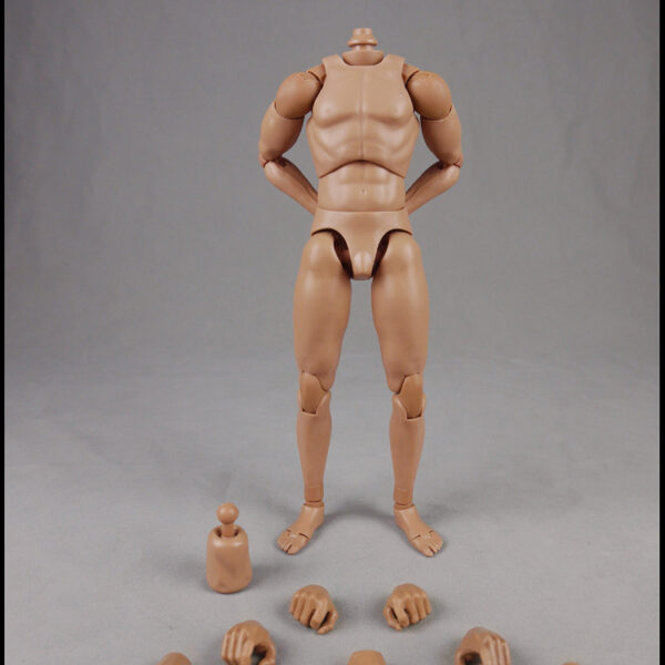 CM-BD001 - Version 2.0 Standard Male Body 9.8" Height