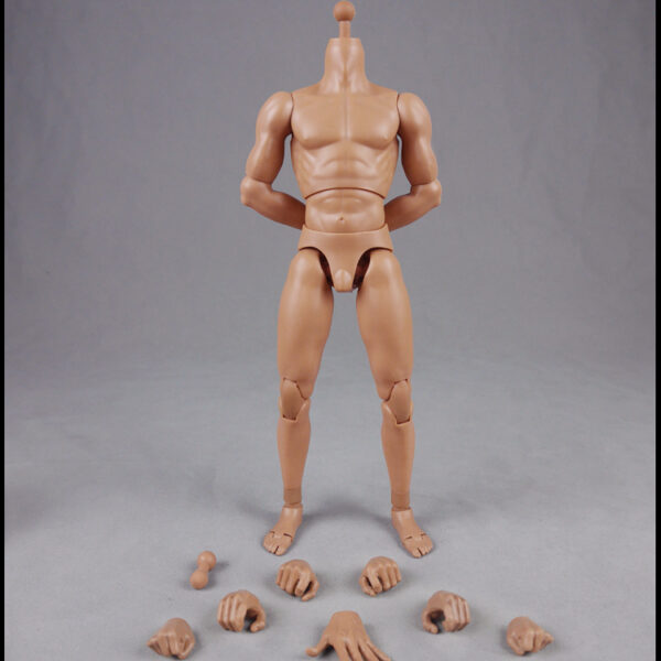CM-BD003 - Version 2.0 Muscle Male Body 9.8" Height