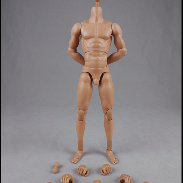 CM-BD004 - Version 2.0 Muscle Male High Body 10.6" Height