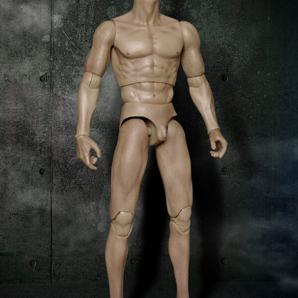 WB-VT001 - Articulated Male Body without Head