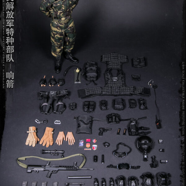 DAM-78048 DAM Toys Chinese People's Liberation Army Special Forces 1/6 Figure
