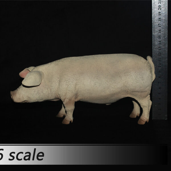 ZY-PG-A(PINK) ZY-PG-B(BLACK) ZY Toys 1/6 pig model