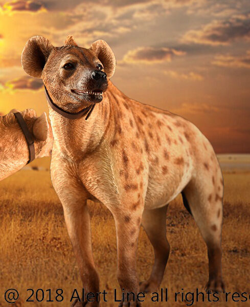 AL100025B Alert Line 1/6 Light Brown Crocuta Spotted Hyena