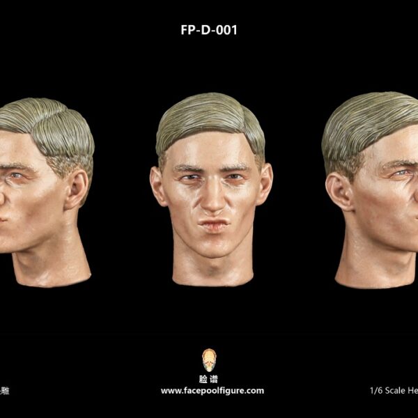FP-D-001 Facepool Figure 1/6 Youth Male Head Sculpt with Expression