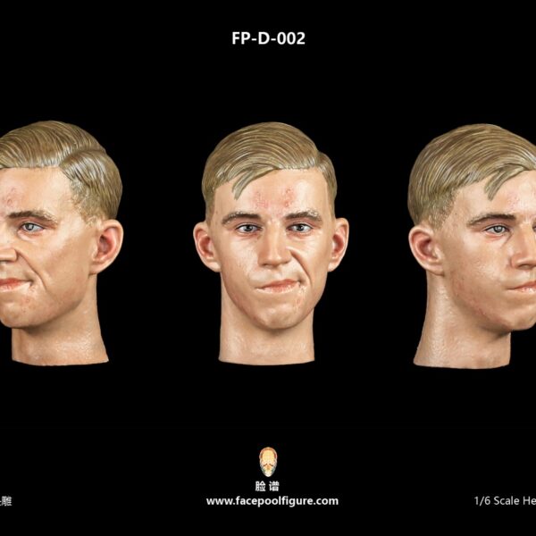 FP-D-002 Facepool Figure 1/6 Youth Male Head Sculpt with Expression