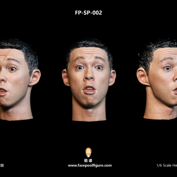 FP-SP-002 Facepool Figure 1/6 Asian Male Head Sculpt with Expression