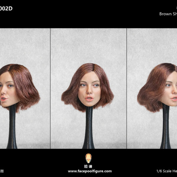 FP-C-002D FacepoolFigure 1/6 Root Hair Female Head Sculpt with Expression - Brown Short Hair