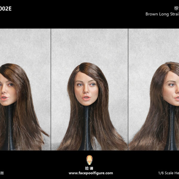 FP-C-002E FacepoolFigure 1/6 Root Hair Female Head Sculpt with Expression - Brown Long Straight Hair
