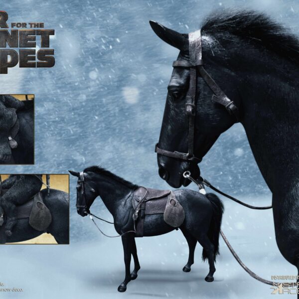 SA9019 Star Ace Black Horse (Single Pack)