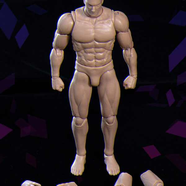 VSD-003 VTOYS X BMS 1/12 FIGURE BODY ZERO