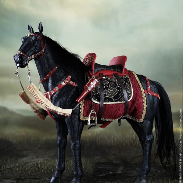 COO-SE097 COO Model Hucul Set Polish Cavalry