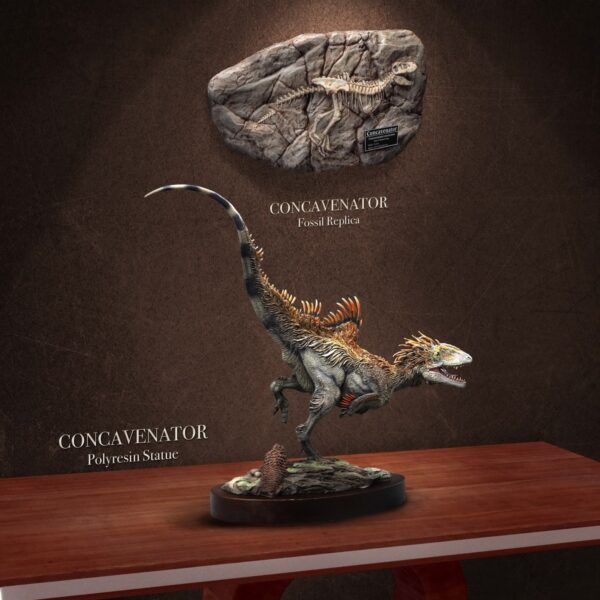 SA5003 Star Ace Concavenator “WONDER WILD" series 32cm Polyresin Statue & Fossil Replica (Deluxe ver)