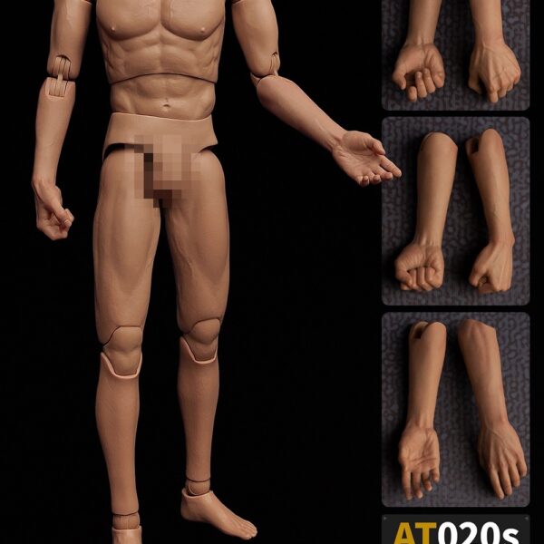 AT020s Worldbox 1/6 one-piece forearm of the body