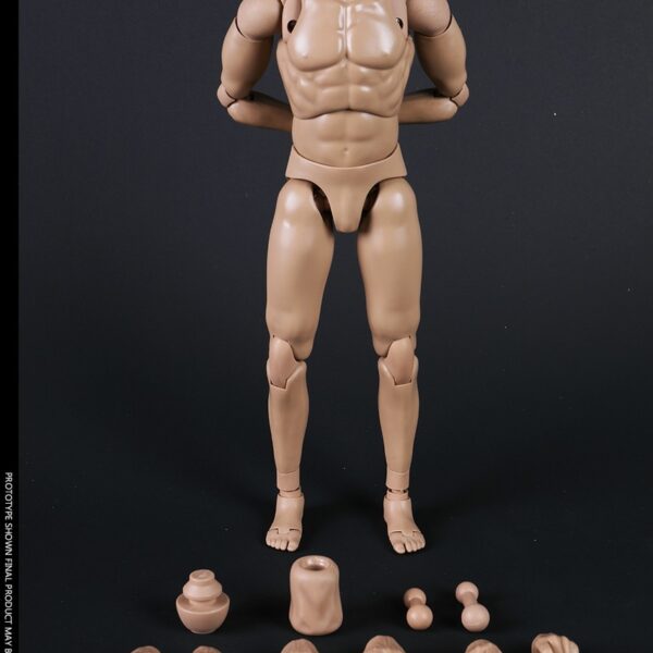COO-MB001 COO Model New Type Standard Male Body
