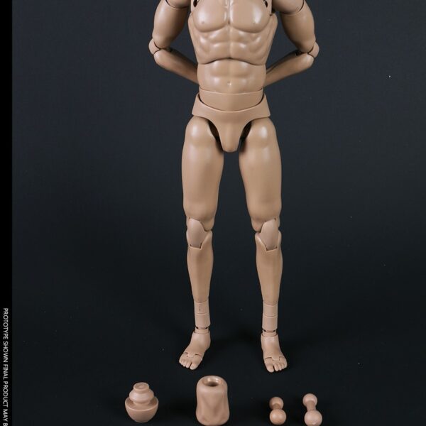 COO-MB002 COO Model New Type Tall Standard Male Body