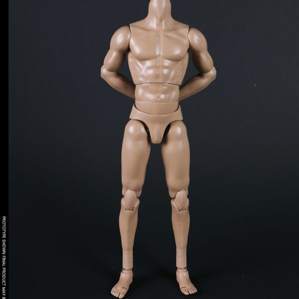 COO-MB004 COO Model New Type Tall Muscled Male Body