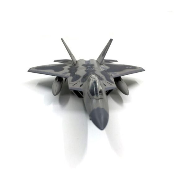 NS-M-AF22 Nsmodel 1:100 American F-22 fighter