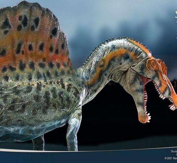 SA5011 Star Ace Spinosaurus 1.0 “WONDER WILD" series 32cm Polyresin Statue