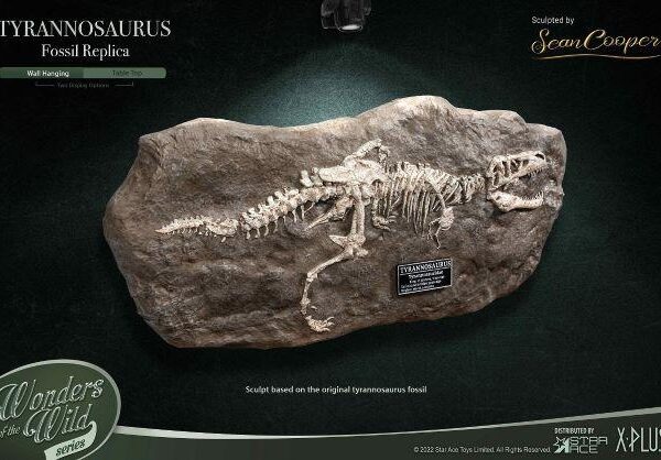 SA5016 Star Ace Tyrannosaurus Rex (T-Rex) “WONDER WILD" Fossil Replica