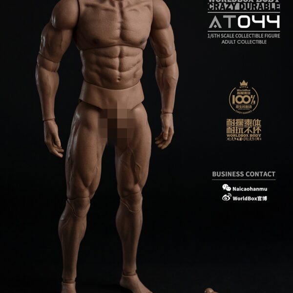 AT044 - Worldbox 1/6 Durable Body