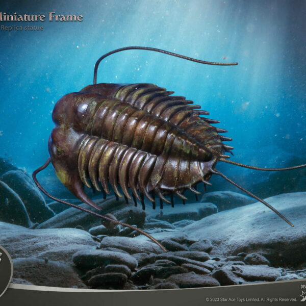 SA5021 - Star Ace Trilobites Miniature Frame (Normal Version)