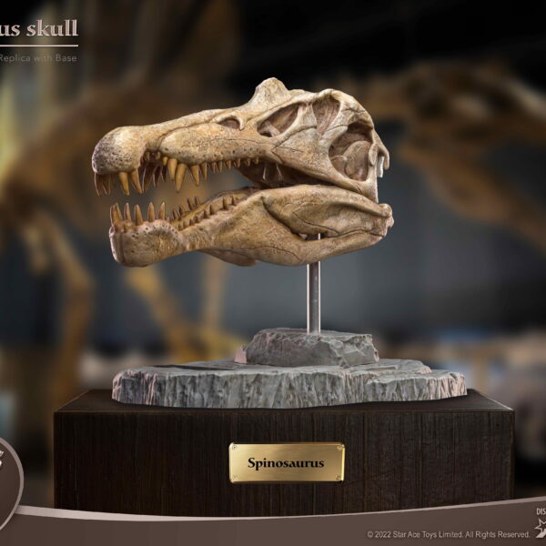 SA5030 - Star Ace Spinosaurus Head Skull Replica