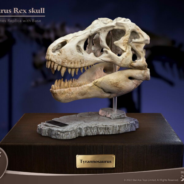 SA5029 - Star Ace T-Rex Head Skull Replica