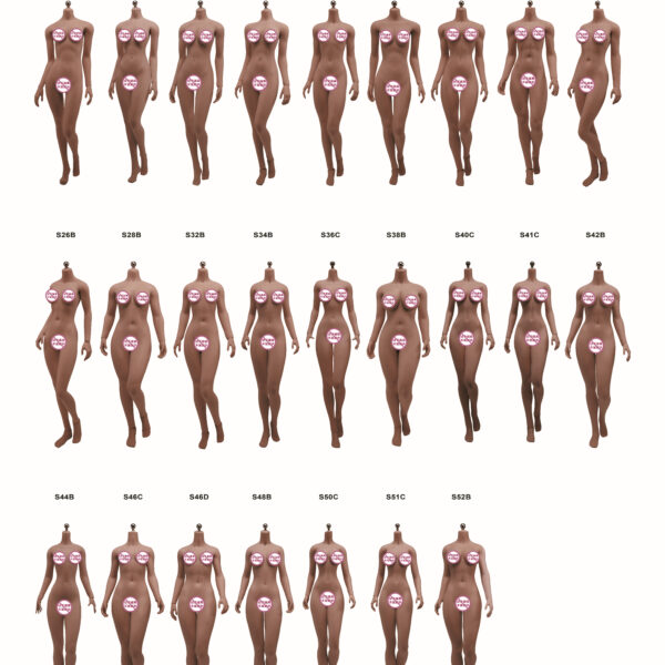 S01B - TBLeague 1/6 Super Flexible Female Seamless Body