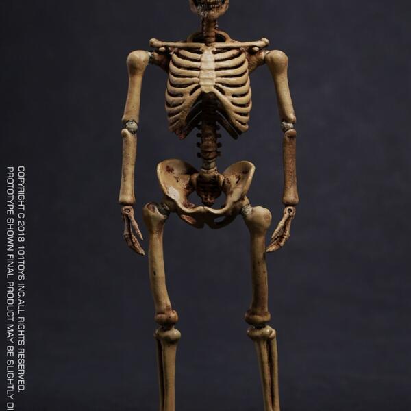 ES002 - 101TOYS - 1/12 Palm Elf Series - Skeleton Frame Body (Original Color Edition)