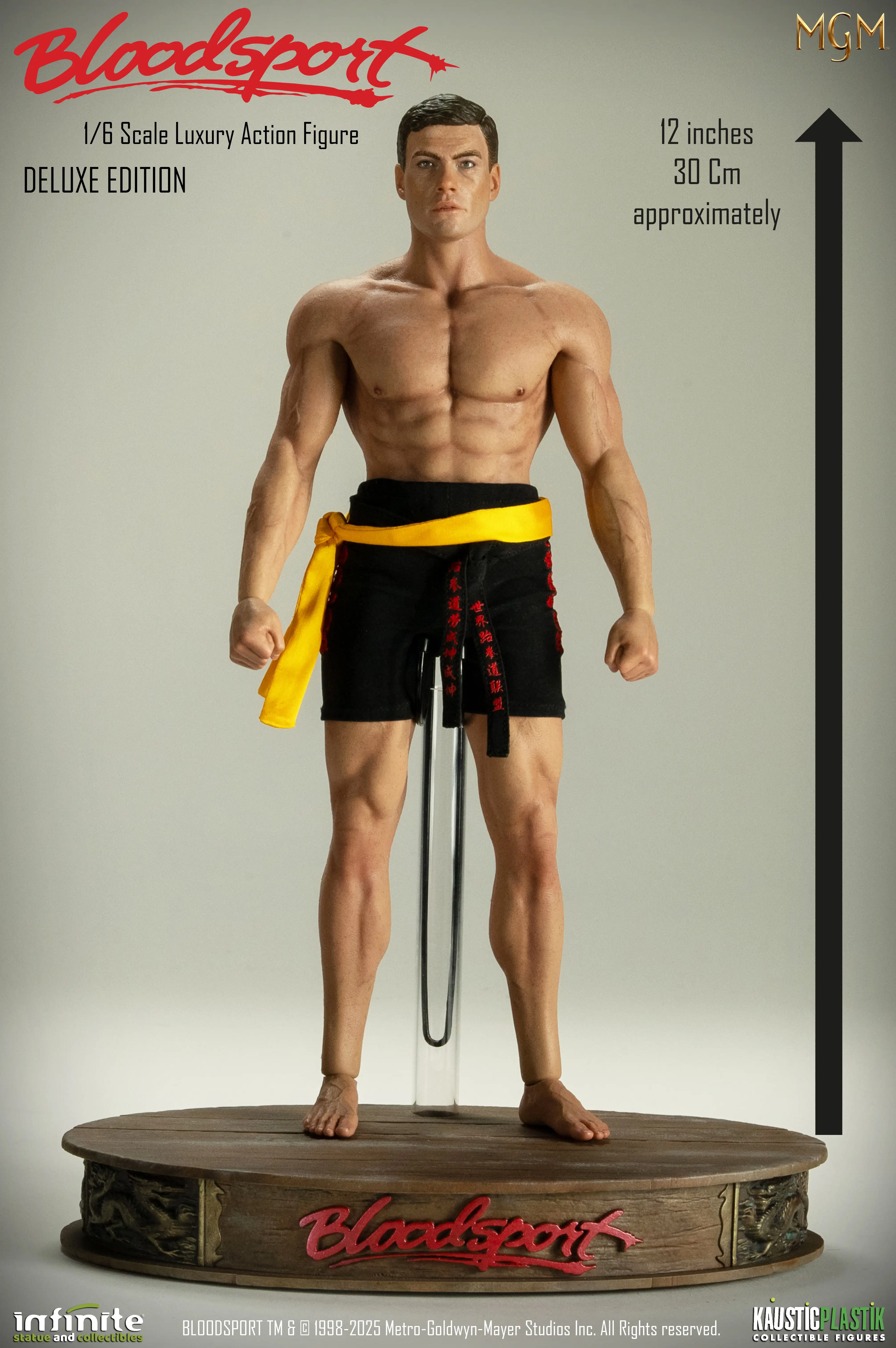 frank dux 20 - dxBIS