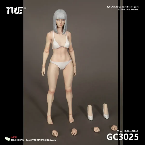 GC3025-A - True1Toys - 1/6 Jointed Female Doll Basic Set (Grey Hair with White Skin)