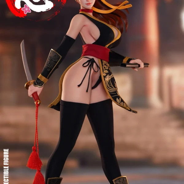 SET094-C – SUPER DUCK – 1/6 Sexy Female Ninja