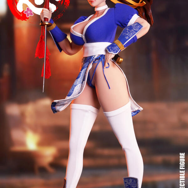 SET094-A - SUPER DUCK - 1/6 Sexy Female Ninja